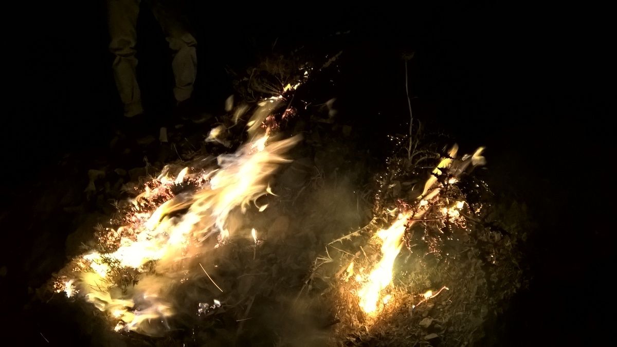 Burning bushes in Tehran mountains